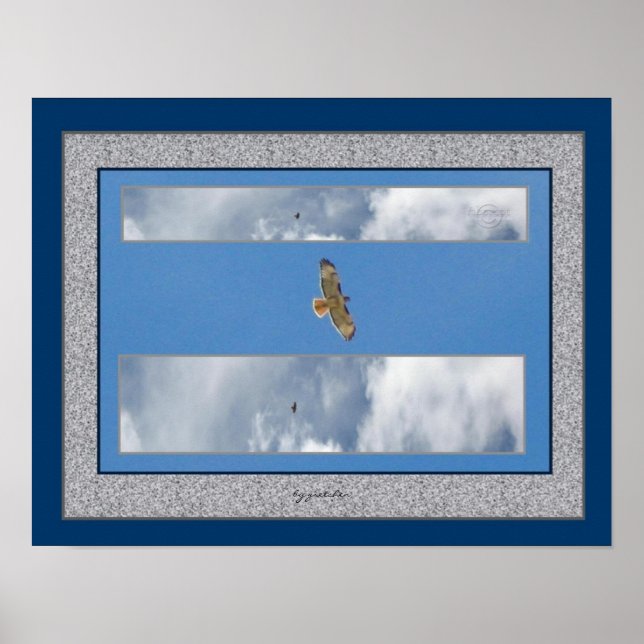 Hawk Soaring Collage 2 Photo Poster por gretchen (Frente)