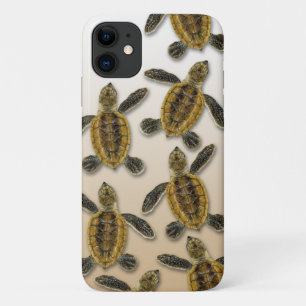 Hawksbill Sea Turtle capas de iphone