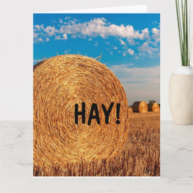 HAY FUNNY PUN HELLO Cartões de saudação (Frente)