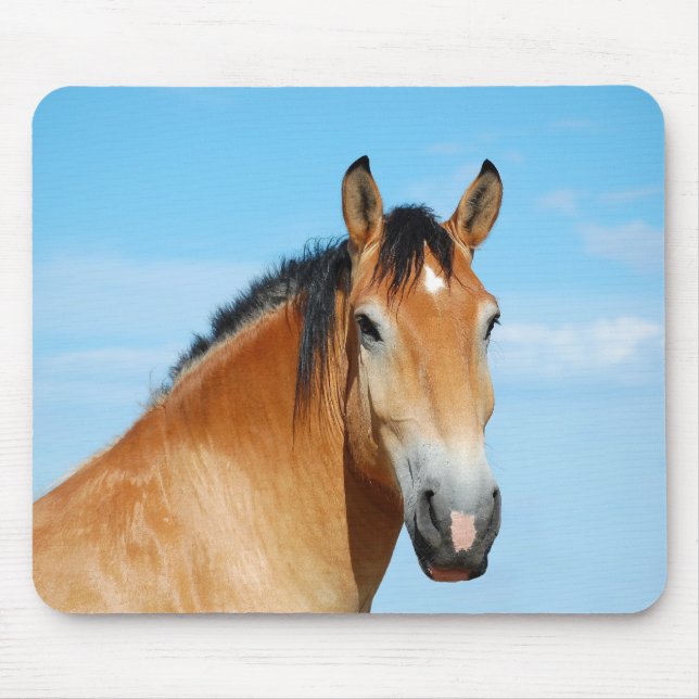Headshot Mousepad de Gulliver (Frente)