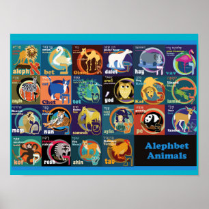 Hebraico - Poster de alfabeto