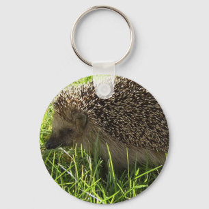 Hedgehog Chaveiro