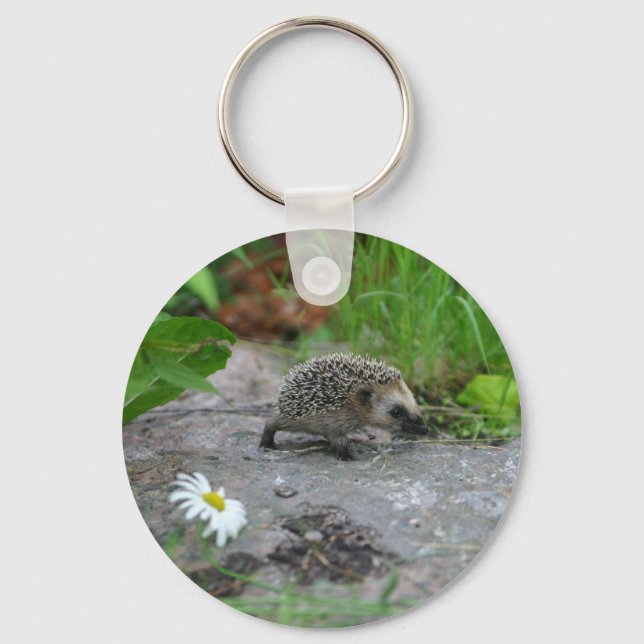 Hedgehog chaveiro (Frente)