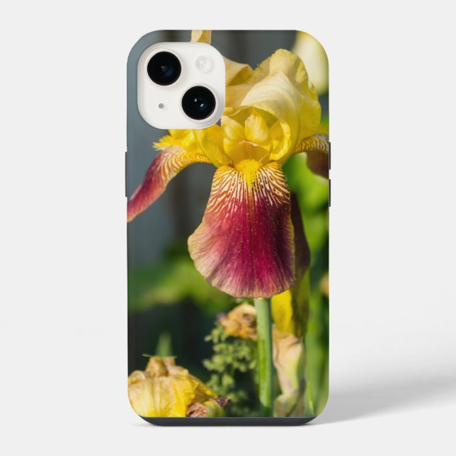 Heirloom Iris capas de iphone (Verso)