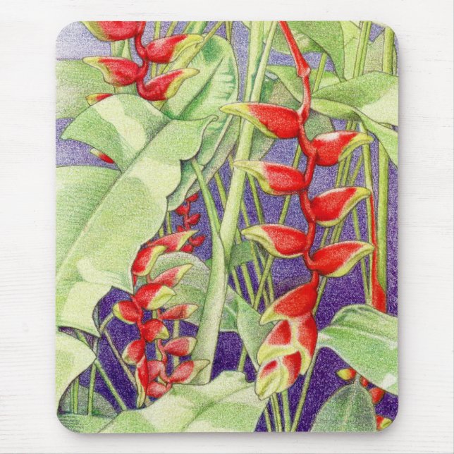 Heliconia Mousepad (Frente)