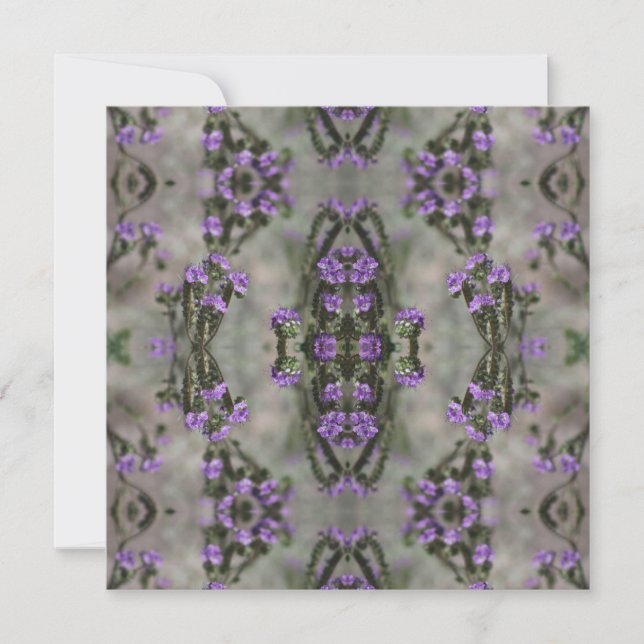 Heliotrope de Sal Roxo Padrão de Flor Selvagem (Frente)
