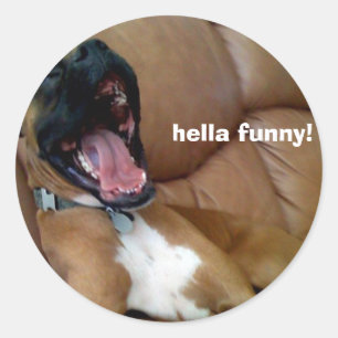 hella da etiqueta do cão engraçado!