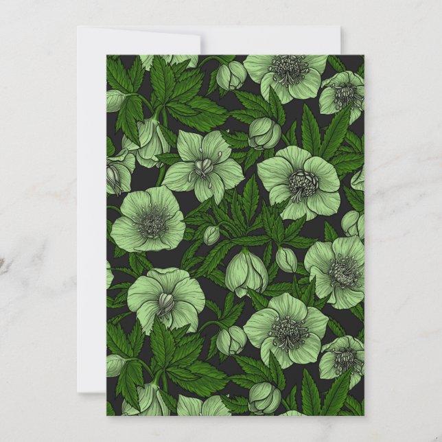 Hellebores brancos com folhas (Frente)