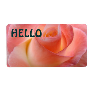 HELLO Nomes de etiqueta Rosa Rosa Rosa Rosa Rosa R