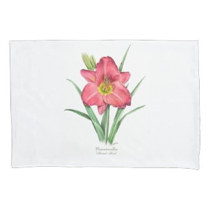 Hemerocallis - a tocha do caçador