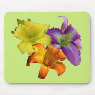 Hemerocallis Mousepad
