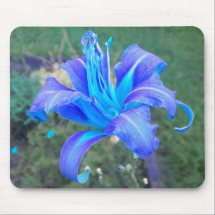 Hemerocallis roxo Mousepad de turquesa de N