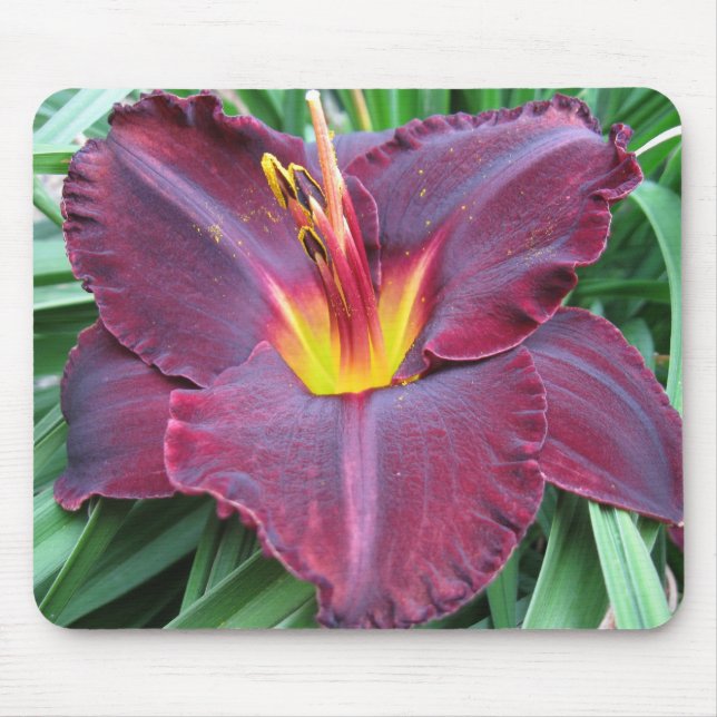 Hemerocallis vulcânico Mousepad (Frente)