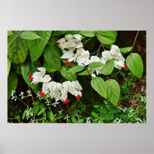 Hemorragia Corações Poster