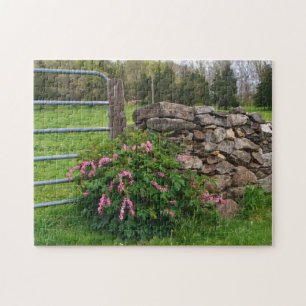 Hemorragia Quebra-cabeça