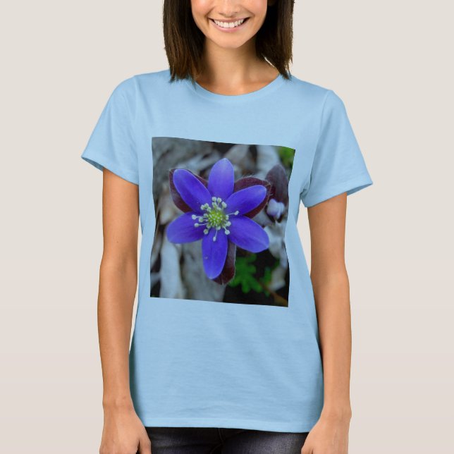 Hepatica T-Shirt (Frente)