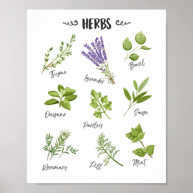 Herb impressão Arte Herbs Arte Cozinha Decoração d (Frente)