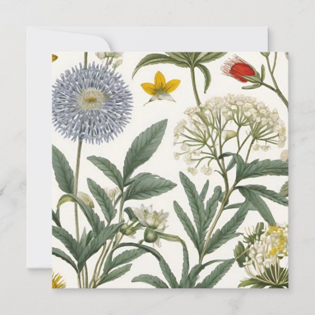 Herbal Harmony (Frente)