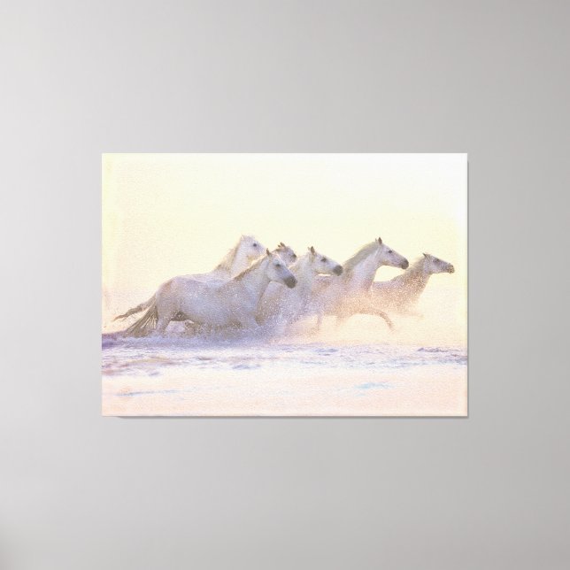 Herd of Horses Running on Beach Canvas Print (Frente)
