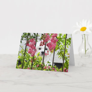 Hermes do Cartão de Saudação de Vazio Maltês