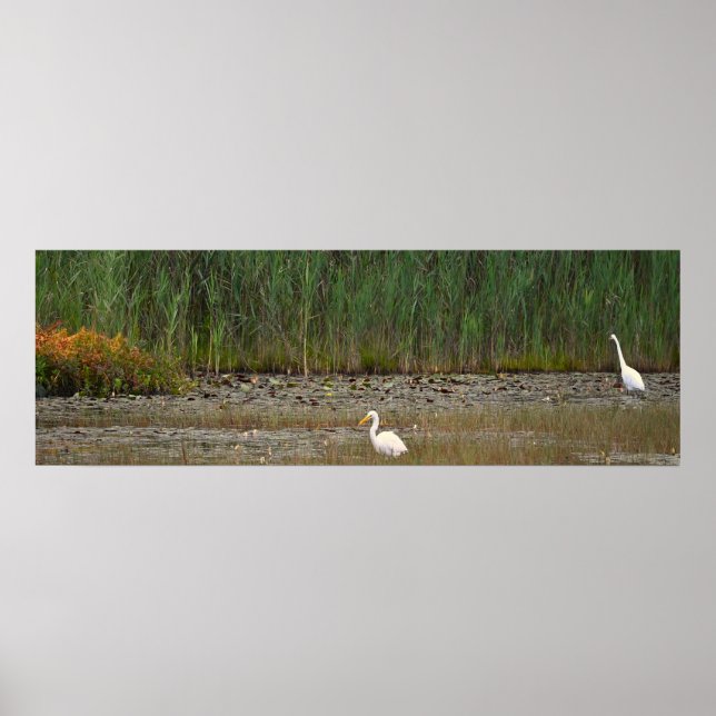 Herões na Poster Marsh (Frente)