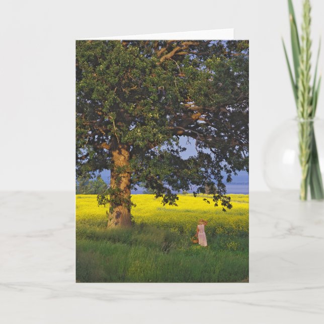 HERÓI   NORTE VERMONT DOS CARTÕES (Frente)