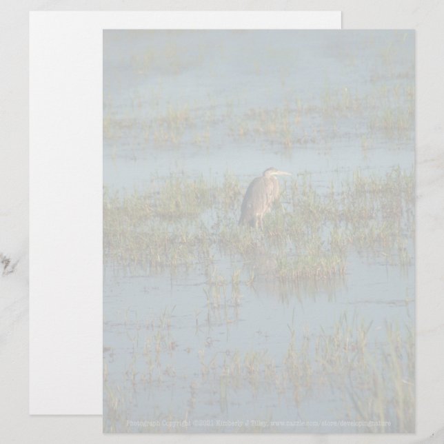 Heron 6937 (Frente/Verso)