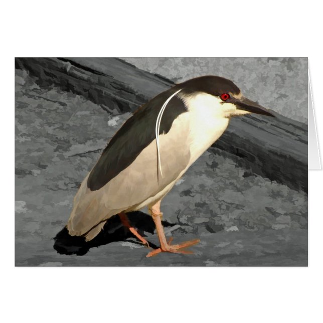 Heron - Cartão (Frente Horizontal)