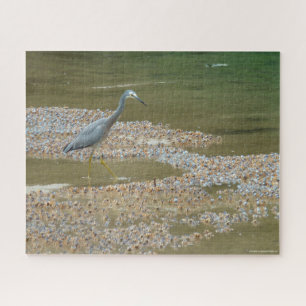 Heron e caranguejos-bebês, quebra-cabeça de serra-