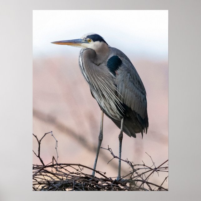 Heron Poster (Frente)