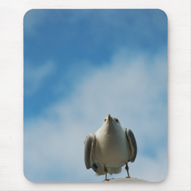 Herring Gull Mousepad (Frente)
