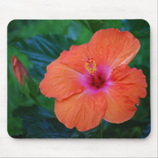 "Hibiscus de acontecimento" Mousepad