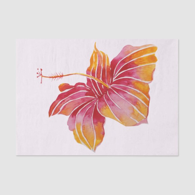 Hibiscus Flower de 10 lb, Papel Tecido, Branco (Frente )