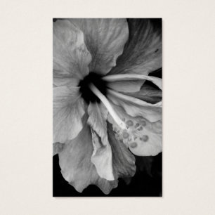 Hibiscus Flyer