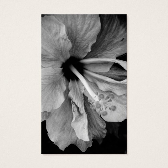 Hibiscus Flyer (Frente)