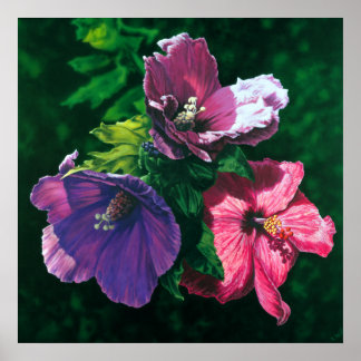Hibiscus poster do Havaí