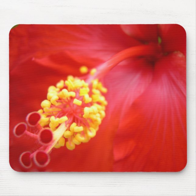 Hibiscus vermelho Mousepad (Frente)