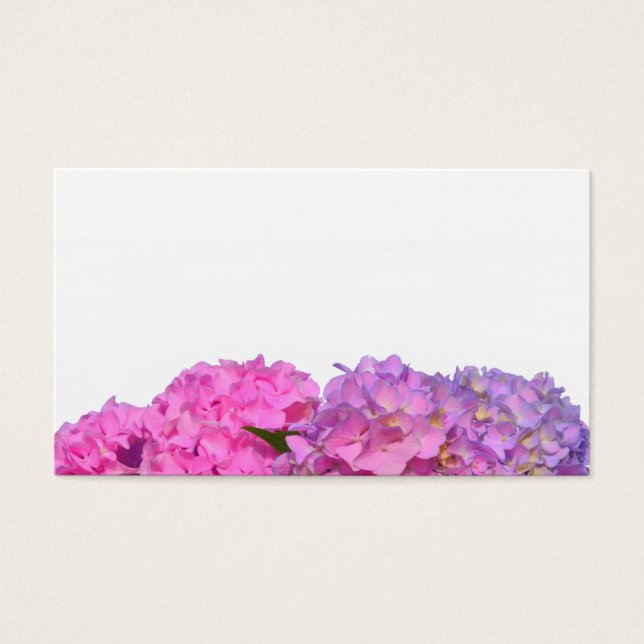 Hídrangas florais roxas, cor-de-rosa, elegantes (Frente)