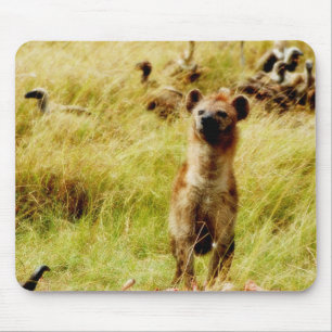 Hiena com mousepad do wildebeest (gnu)