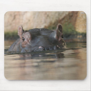 Hipopótamo Mousepad