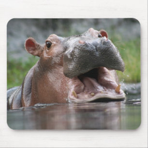 Hipopótamo Mousepad