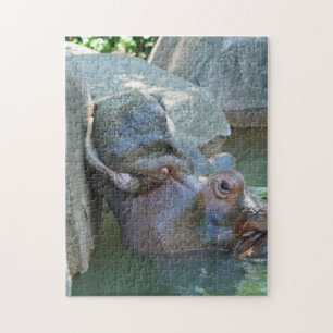 Hippo Quebra-cabeça