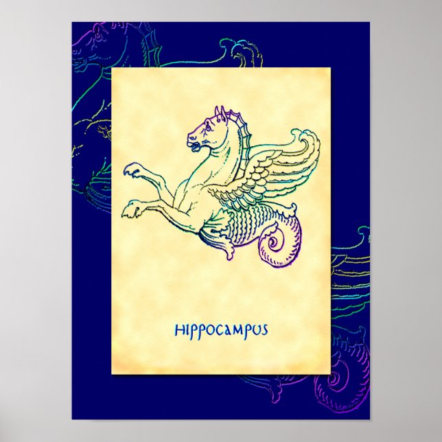 Hippocampus Sea Horse Vintage Art Poster (Frente)