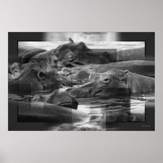 Hippopotamus Impressão (Frente)