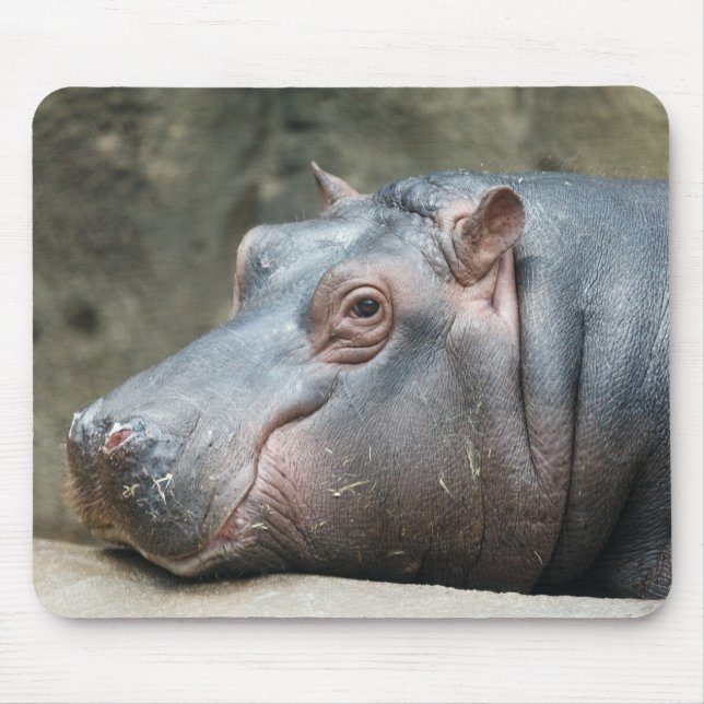 Hippopotamus mousepad (Frente)