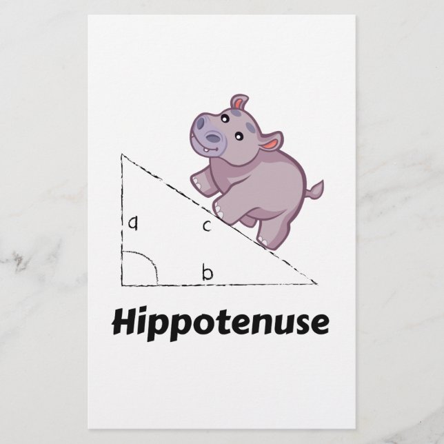 Hippotenuse Engraçado Math (Frente)
