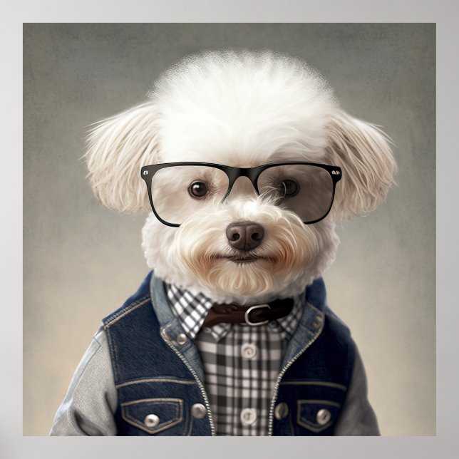 Hipster Maltipoo Poster (Frente)