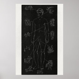 Hiram Eratus Butler - Poster de Biologia Solar