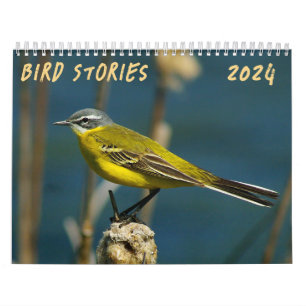 "Histórias de pássaros" Calendário de fotos de pás