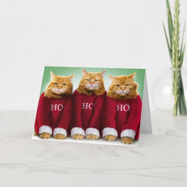 Ho Ho Ho Três Gatos Feliz Cartão de Saudação de Na (Frente)